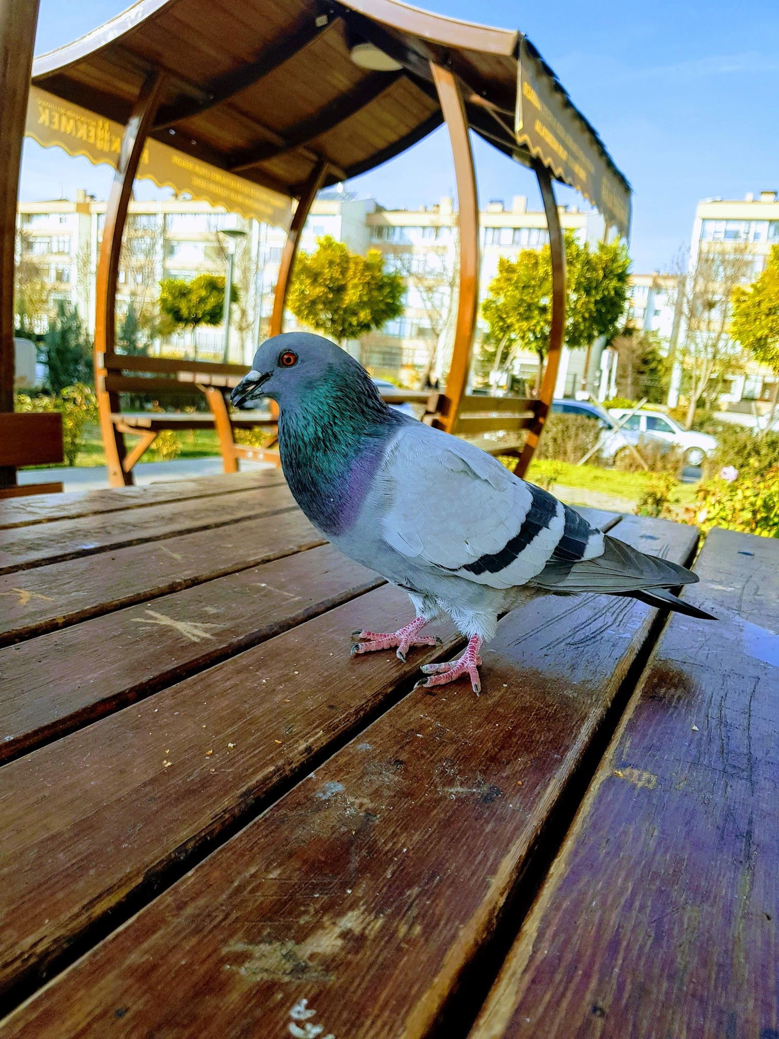 Halk Ekmek Atlantis Cafe