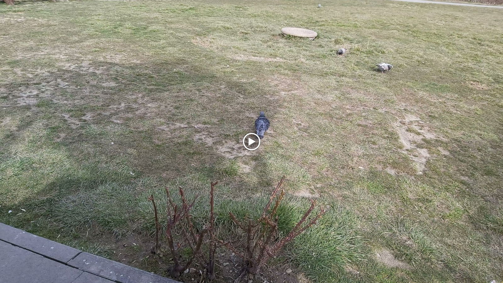 Halk Ekmek Atlantis Cafe