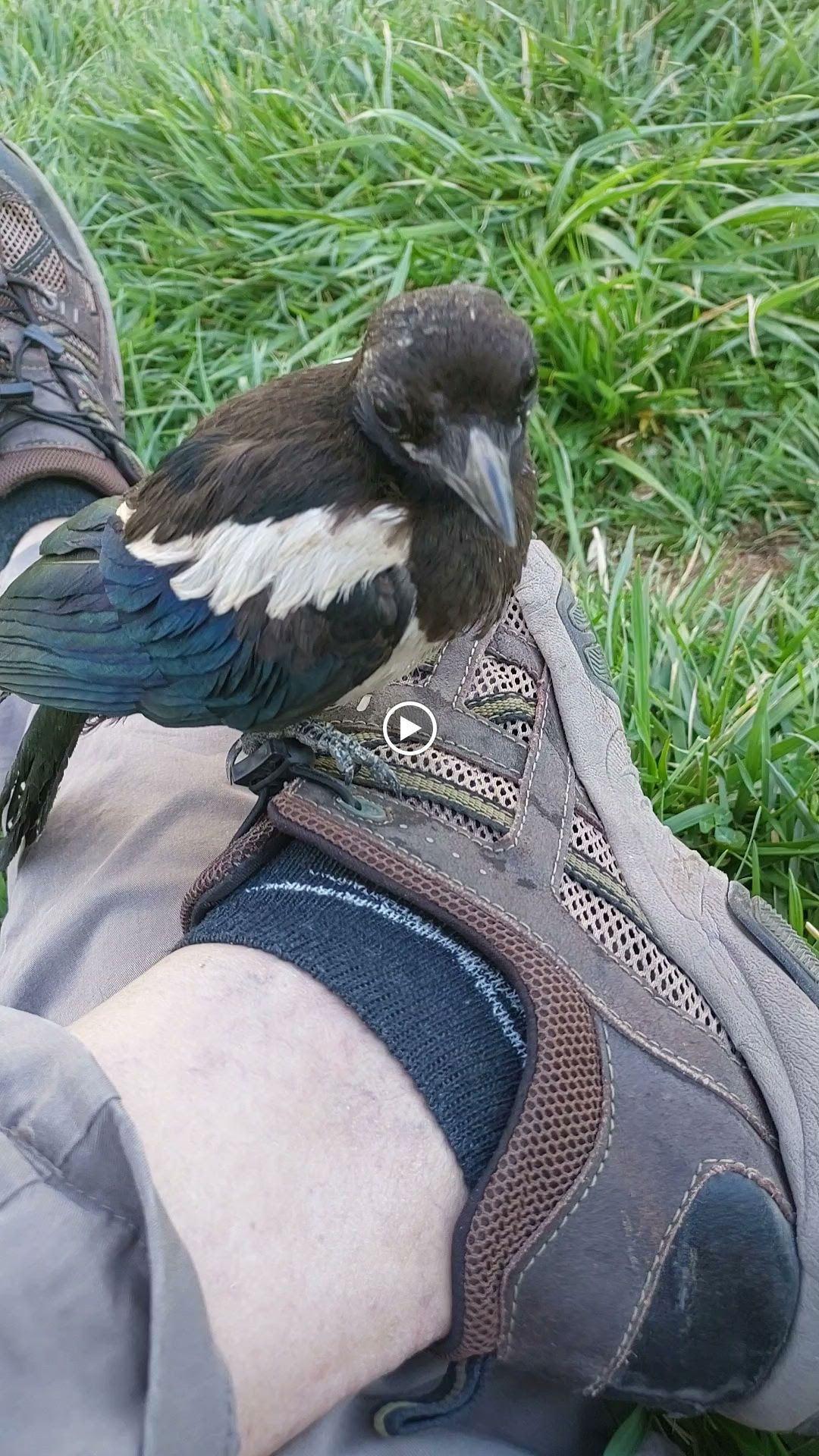 Halk Ekmek Atlantis Cafe