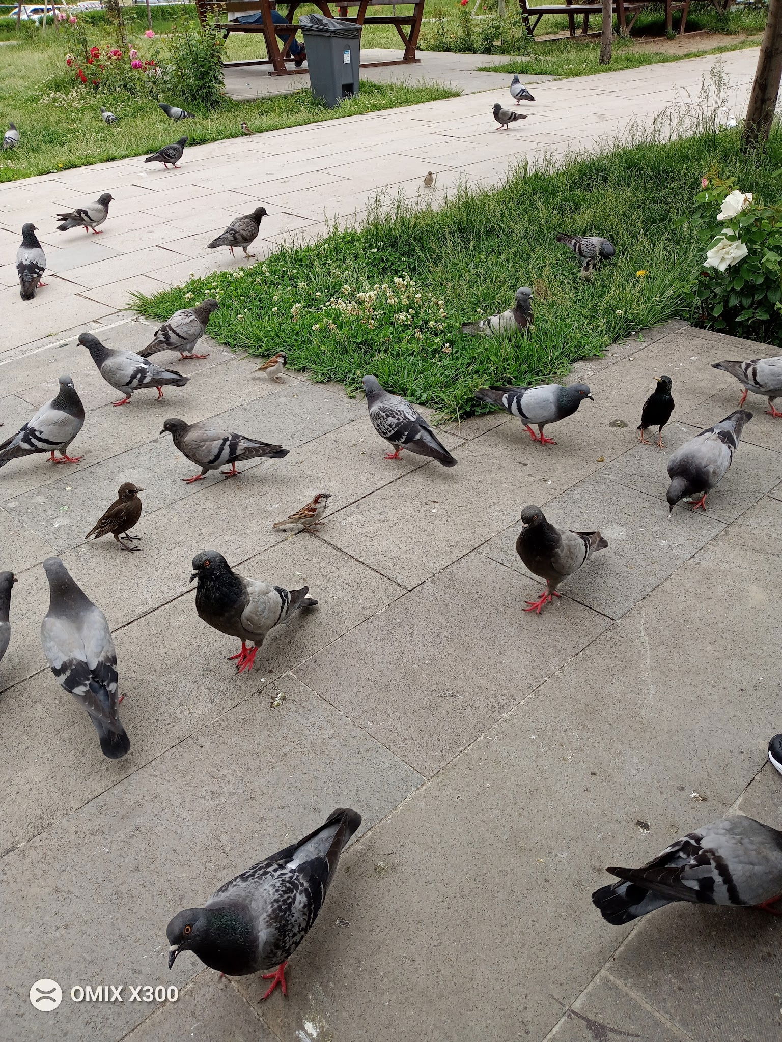 Halk Ekmek Atlantis Cafe