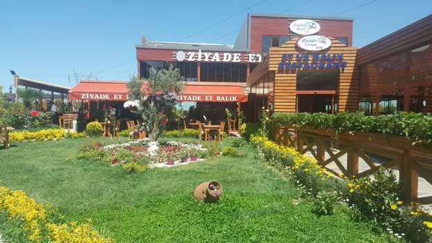 Ziyade Balık resimleri