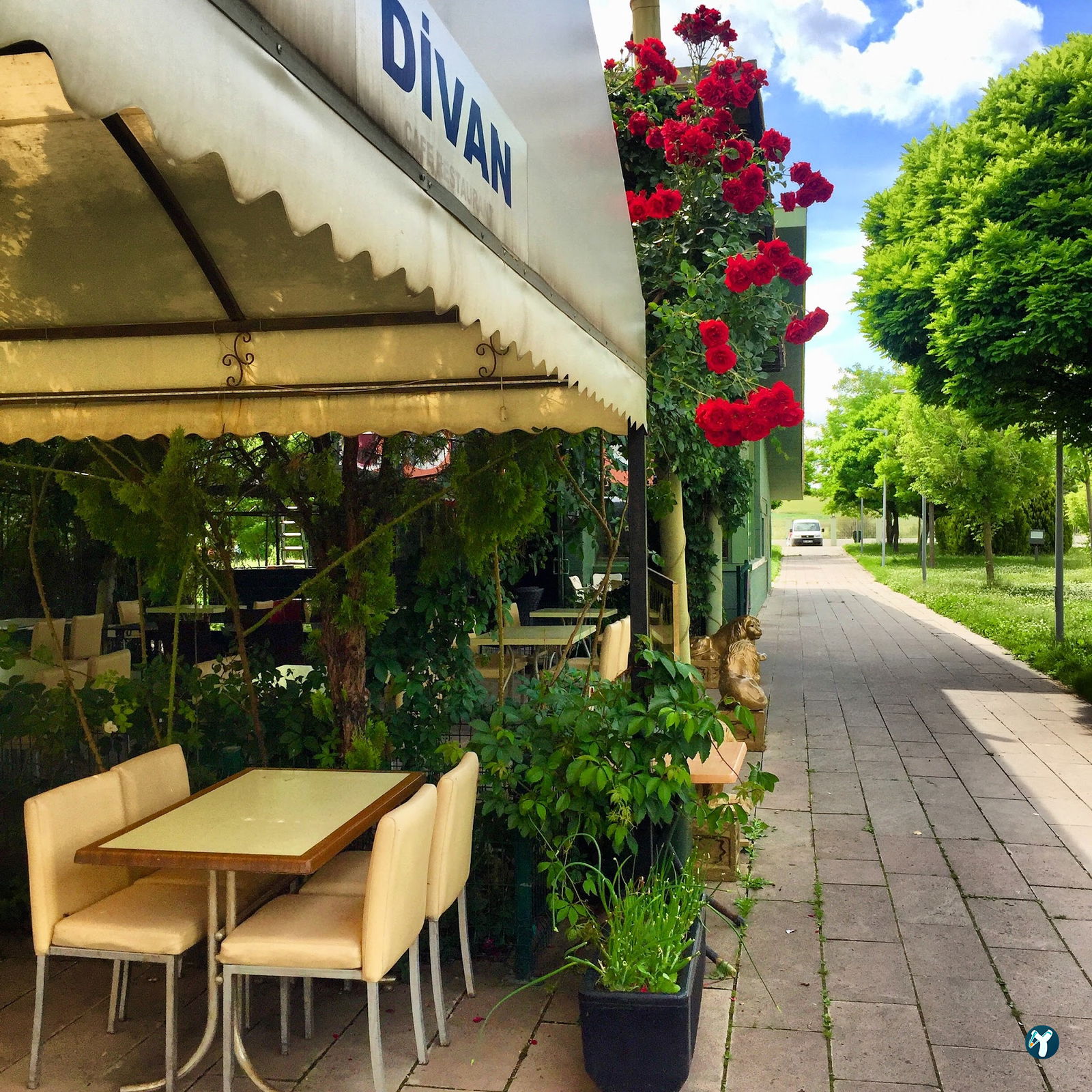 Di̇van Restaurant&Cafe