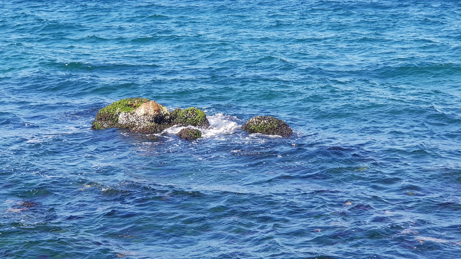Burgazadası Aya Nikola Çay Bahçesi