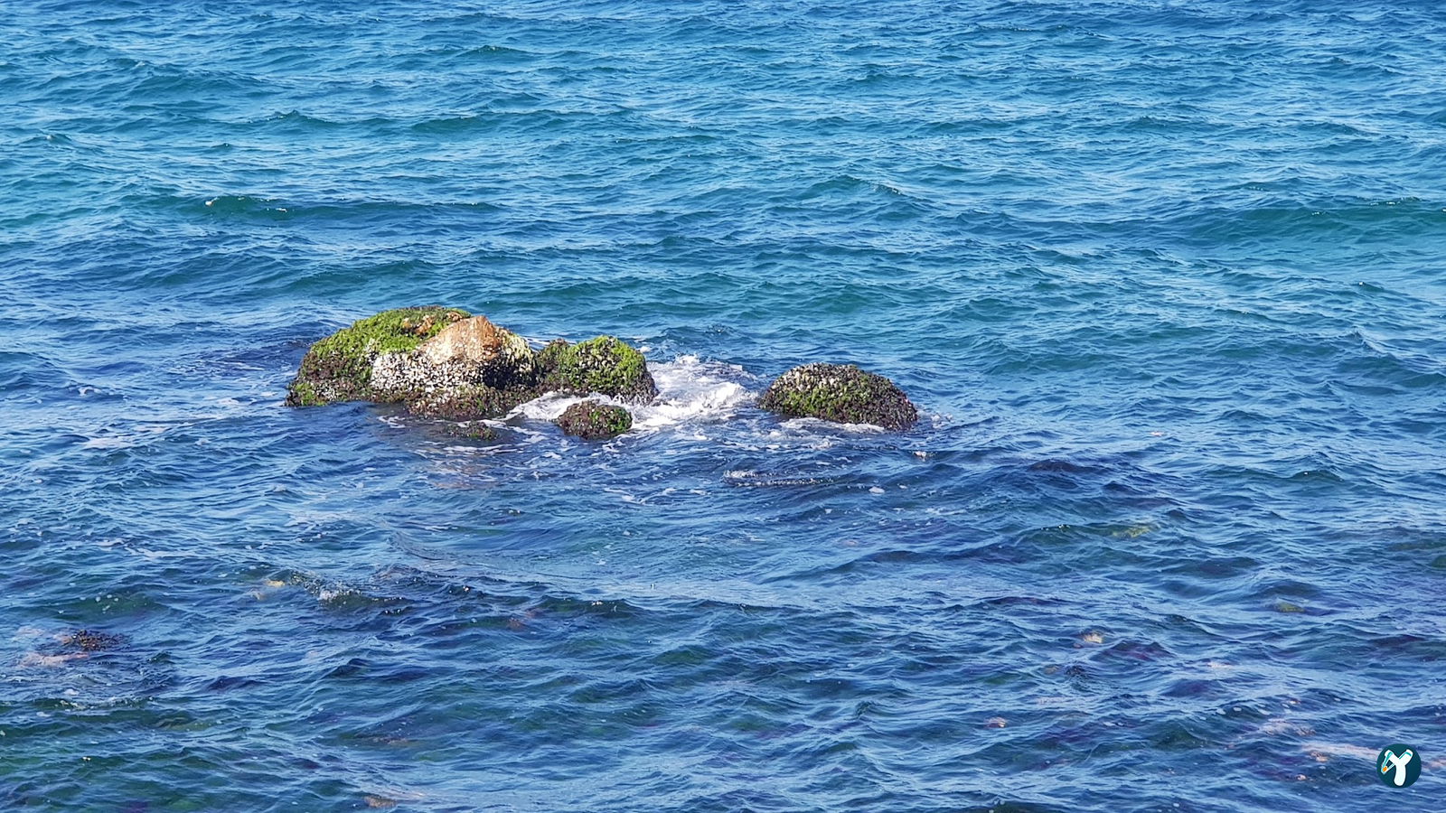 Burgazadası Aya Nikola Çay Bahçesi