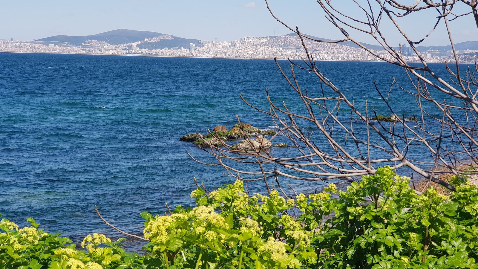 Burgazadası Aya Nikola Çay Bahçesi