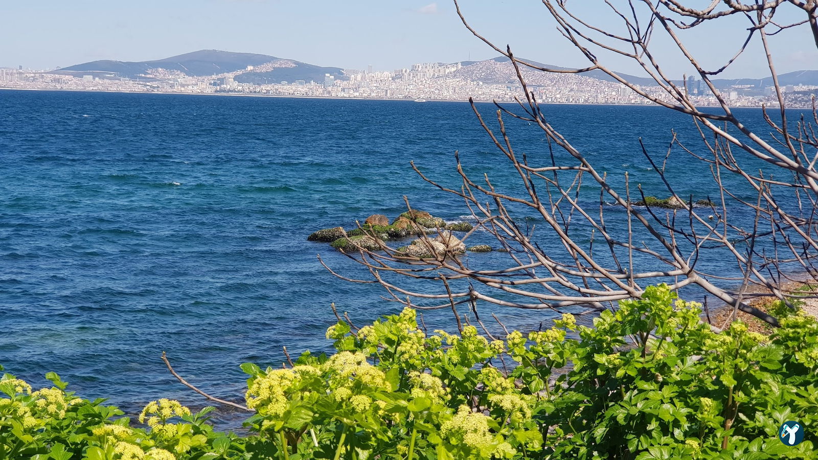 Burgazadası Aya Nikola Çay Bahçesi