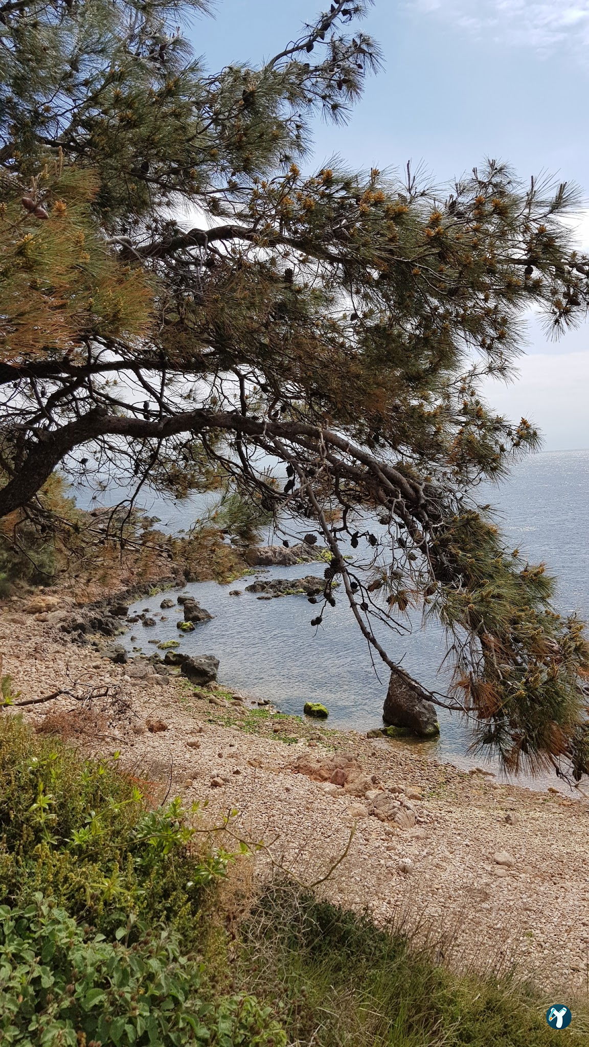 Burgazadası Aya Nikola Çay Bahçesi