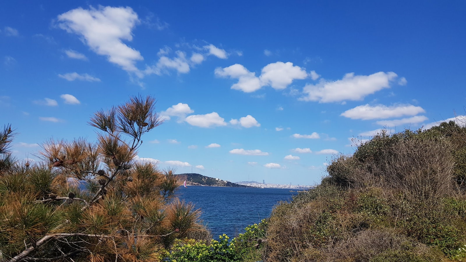 Burgazadası Aya Nikola Çay Bahçesi