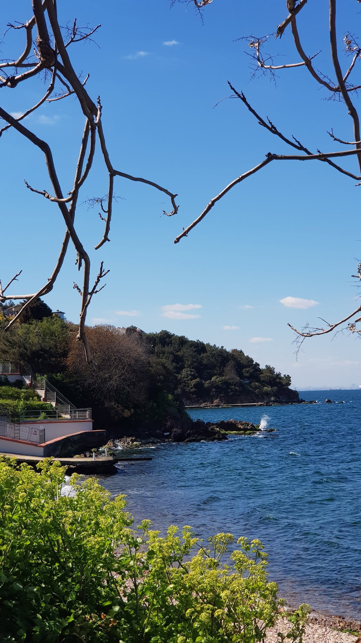 Burgazadası Aya Nikola Çay Bahçesi