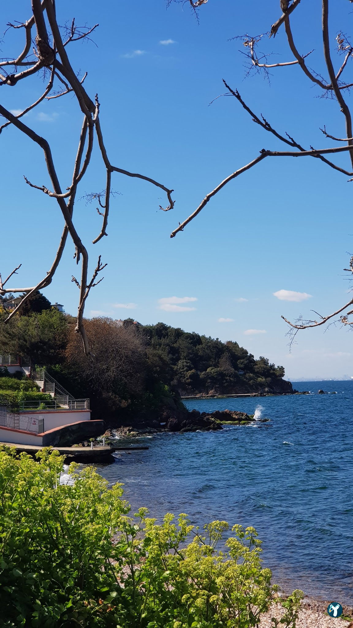 Burgazadası Aya Nikola Çay Bahçesi