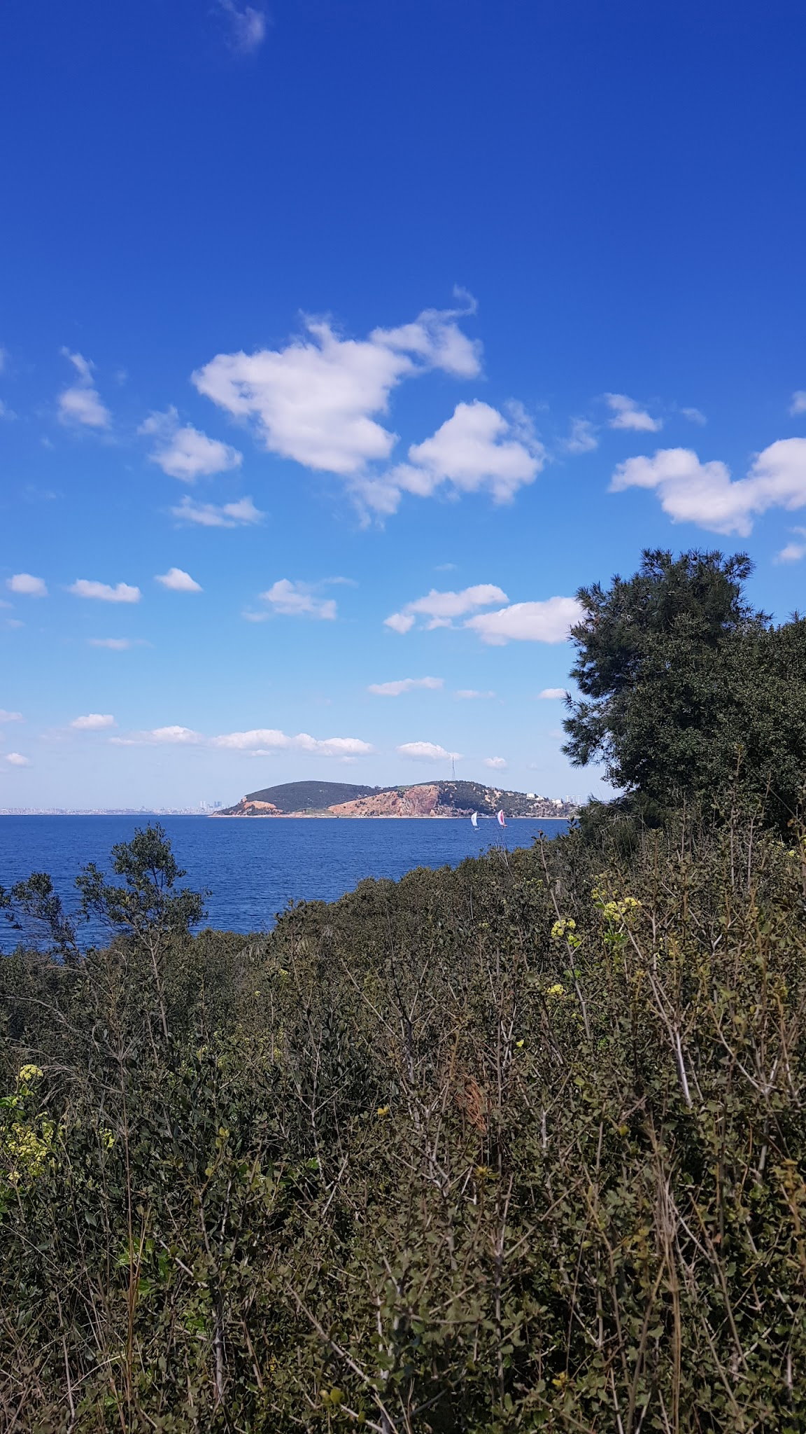Burgazadası Aya Nikola Çay Bahçesi