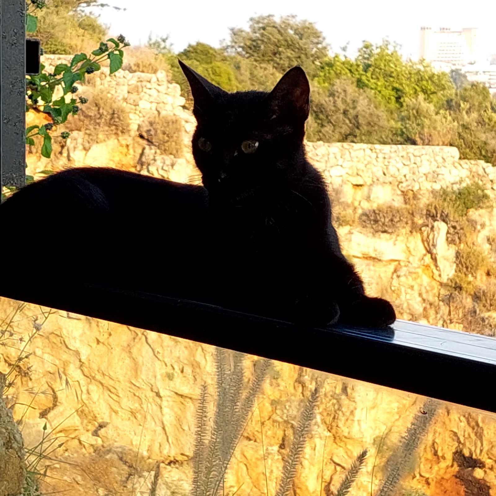 Hayal Kahvesi Antalya