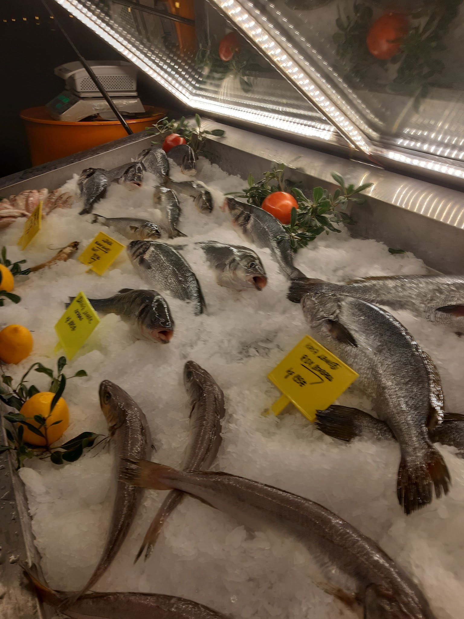 Hayal Kahvesi Antalya