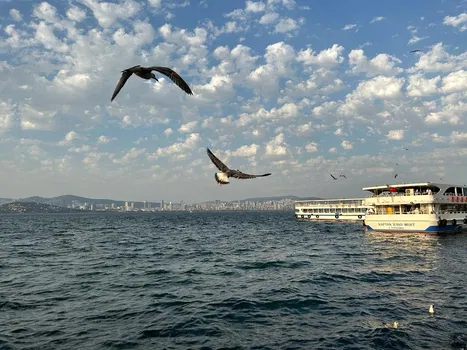 Lido Restaurant resimleri