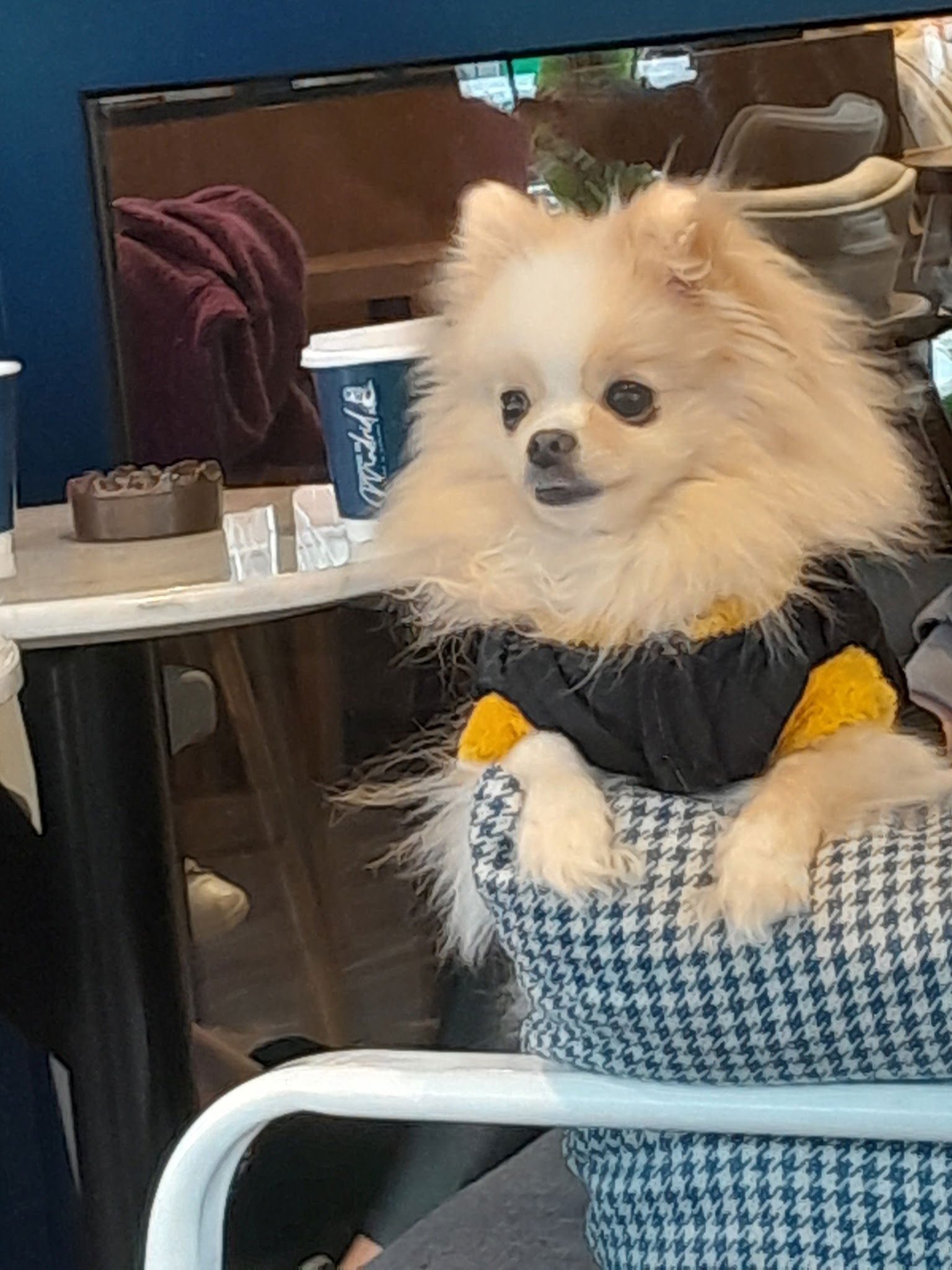 Coffee De Madrid Maidan