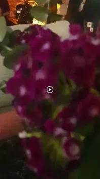 Rosier Işletmesi resimleri Rosier Işletmesi resimleri