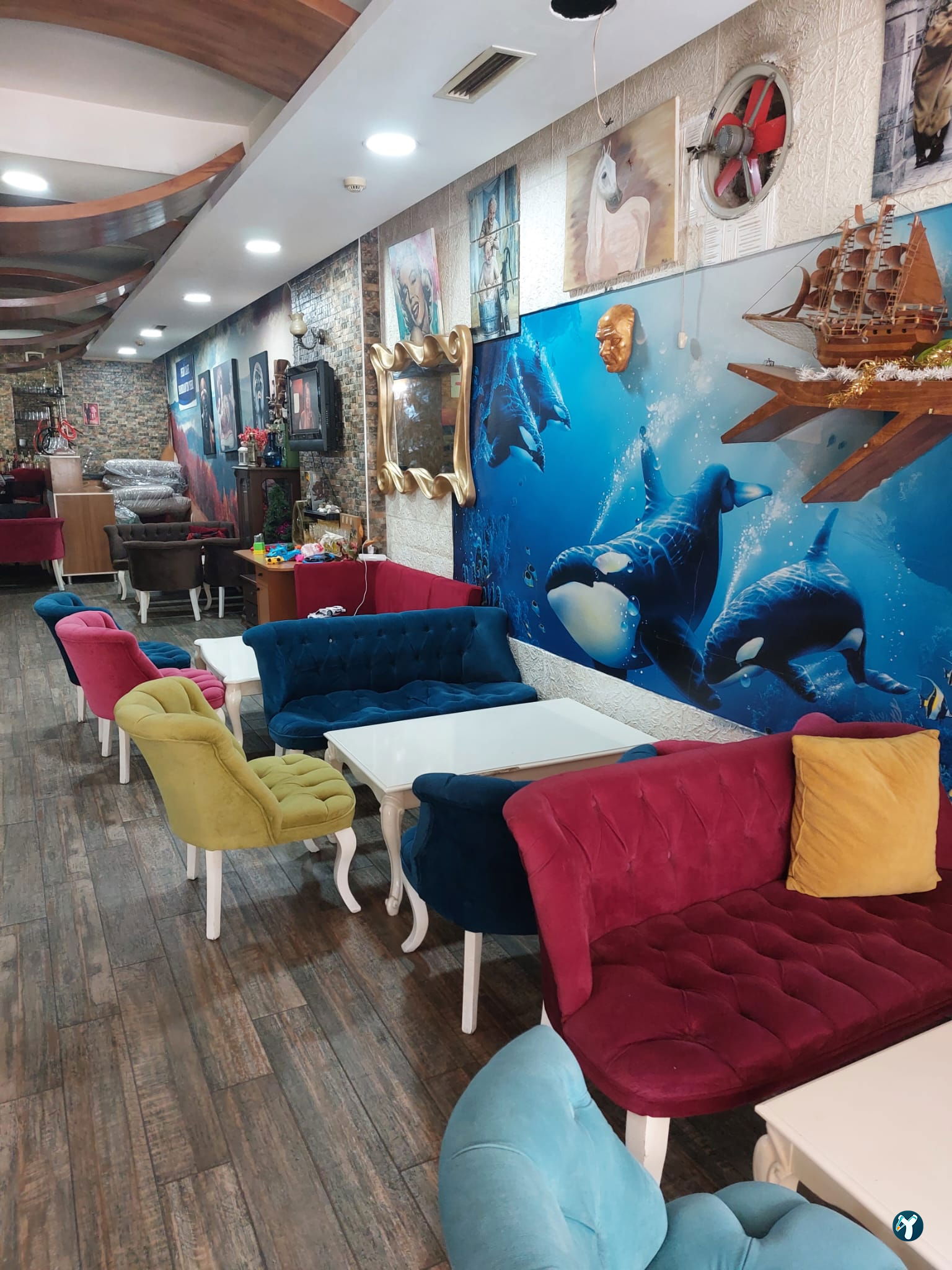 Mersin Peri Fal Cafe Handan'In Yeri