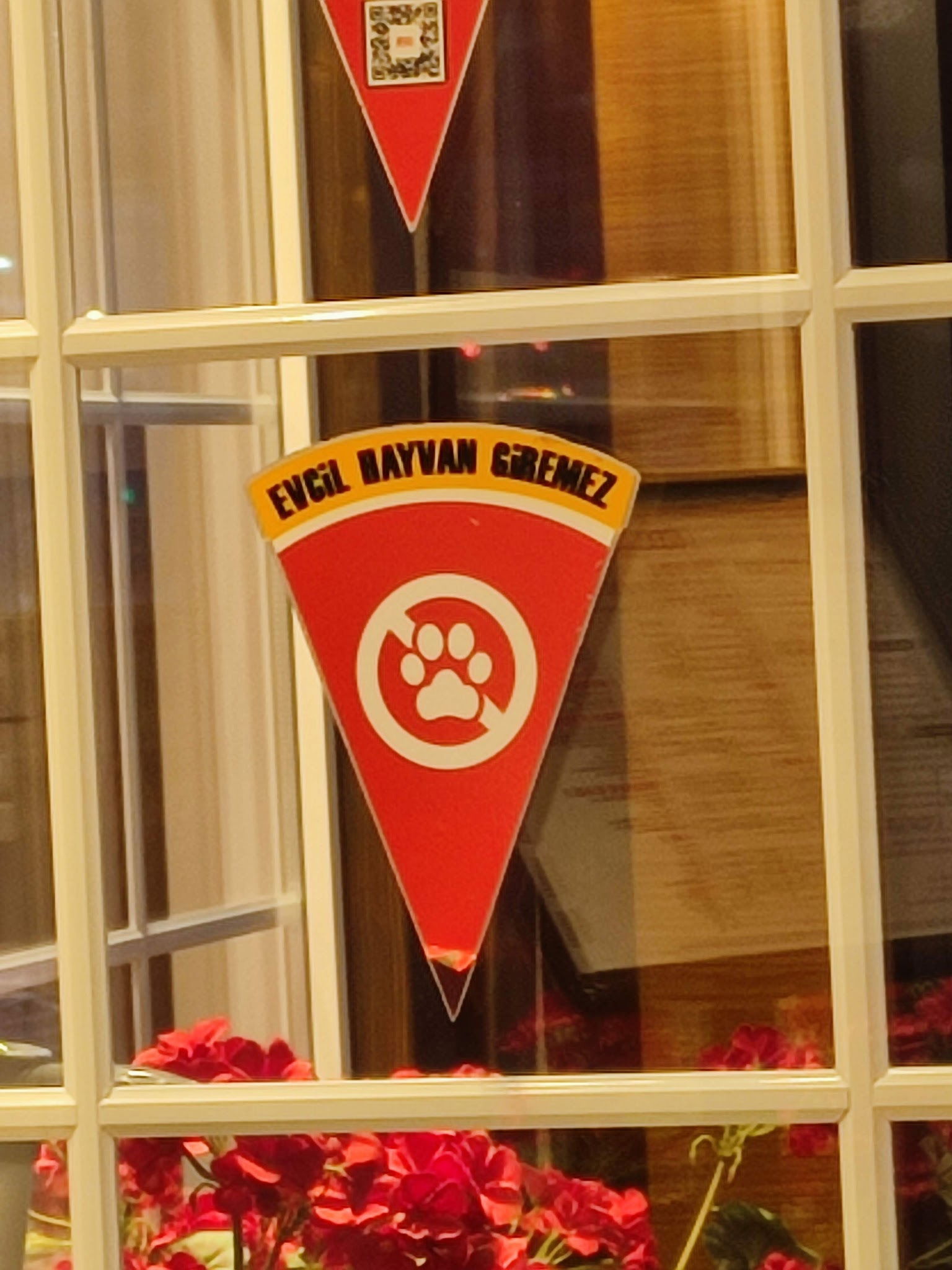 Pizzalazza Tuzla Aydınlı