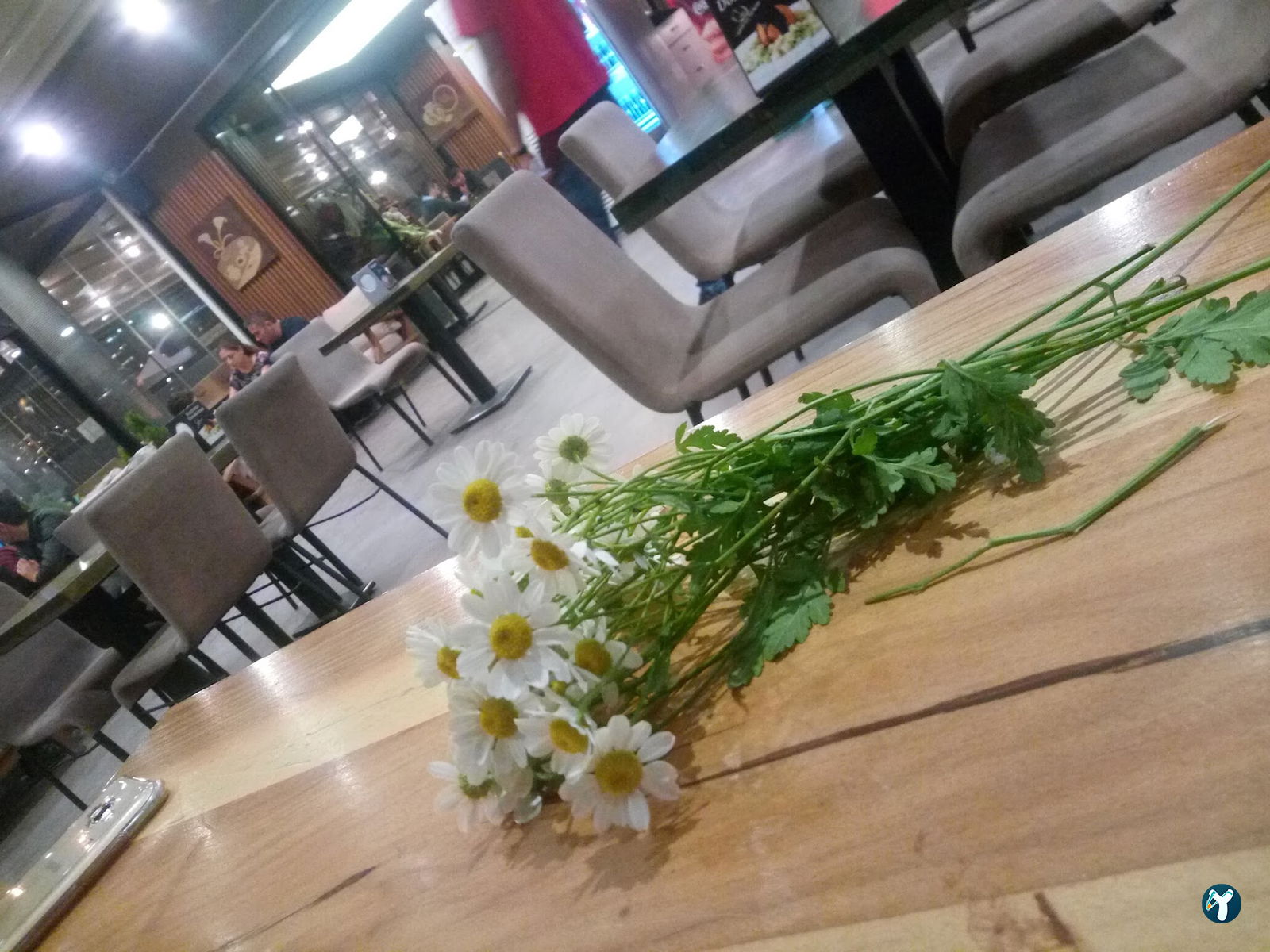 Bir Numara Pasta Cafe
