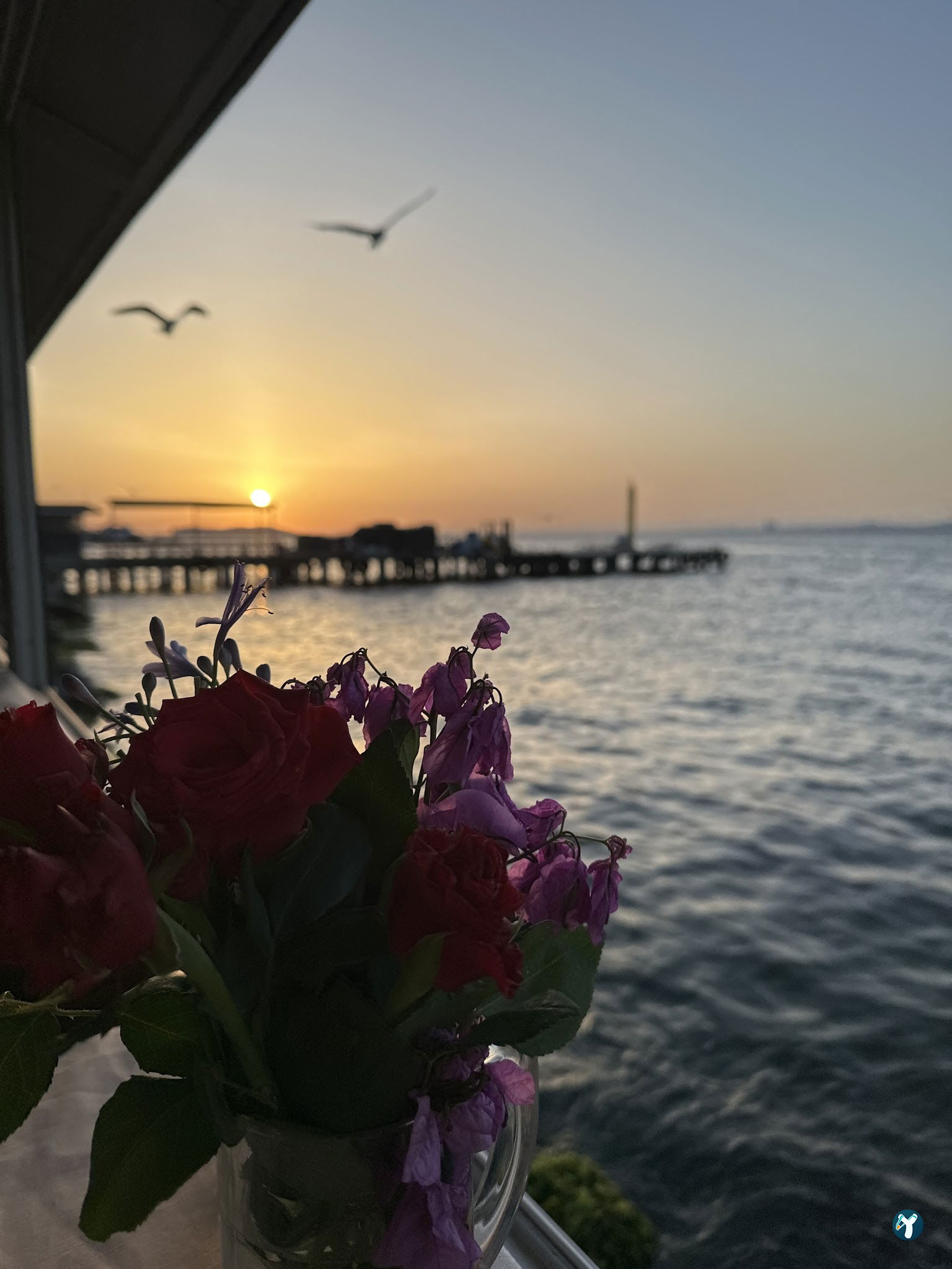 Botanik Cafe & Restaurant