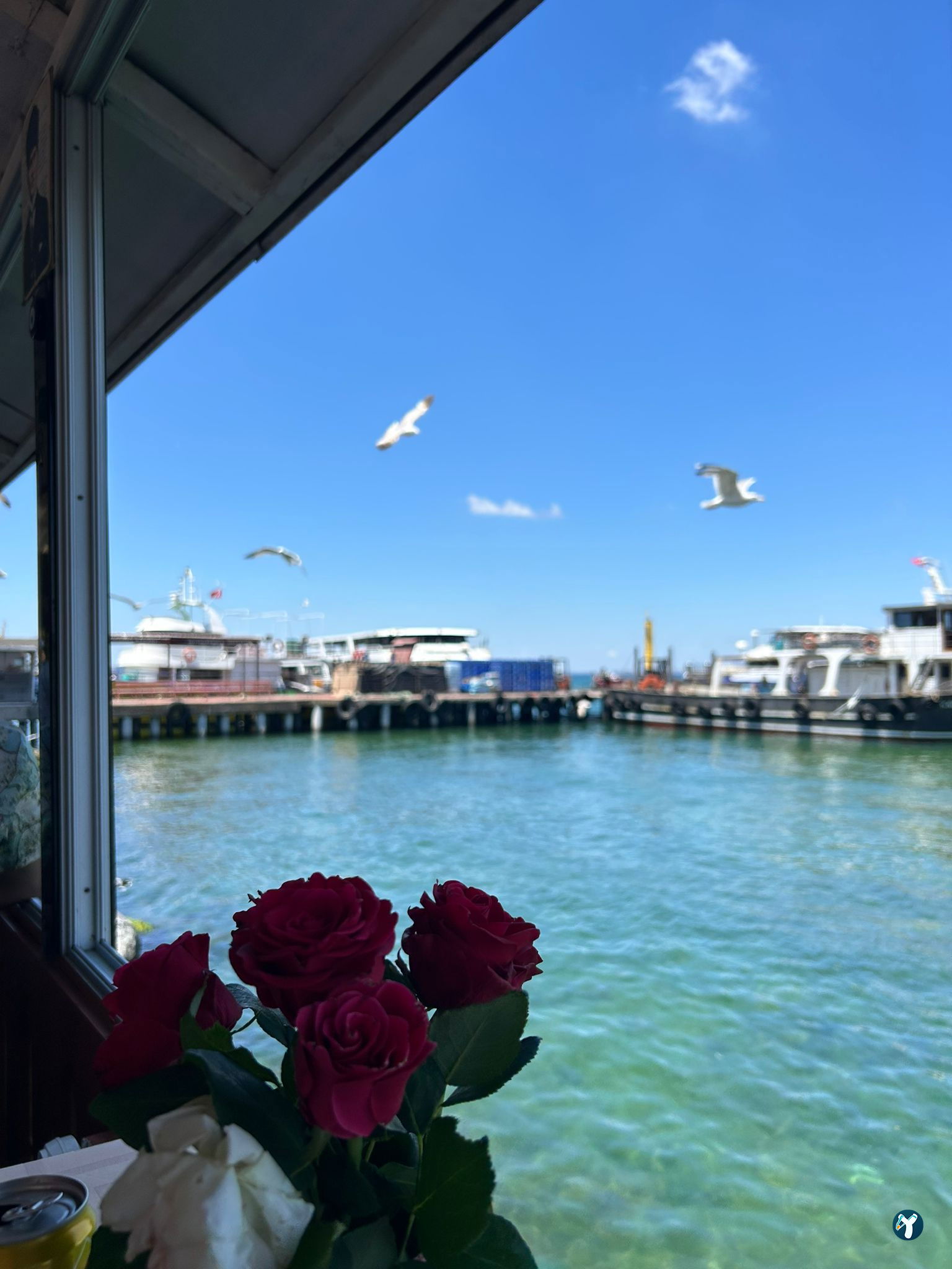 Botanik Cafe & Restaurant