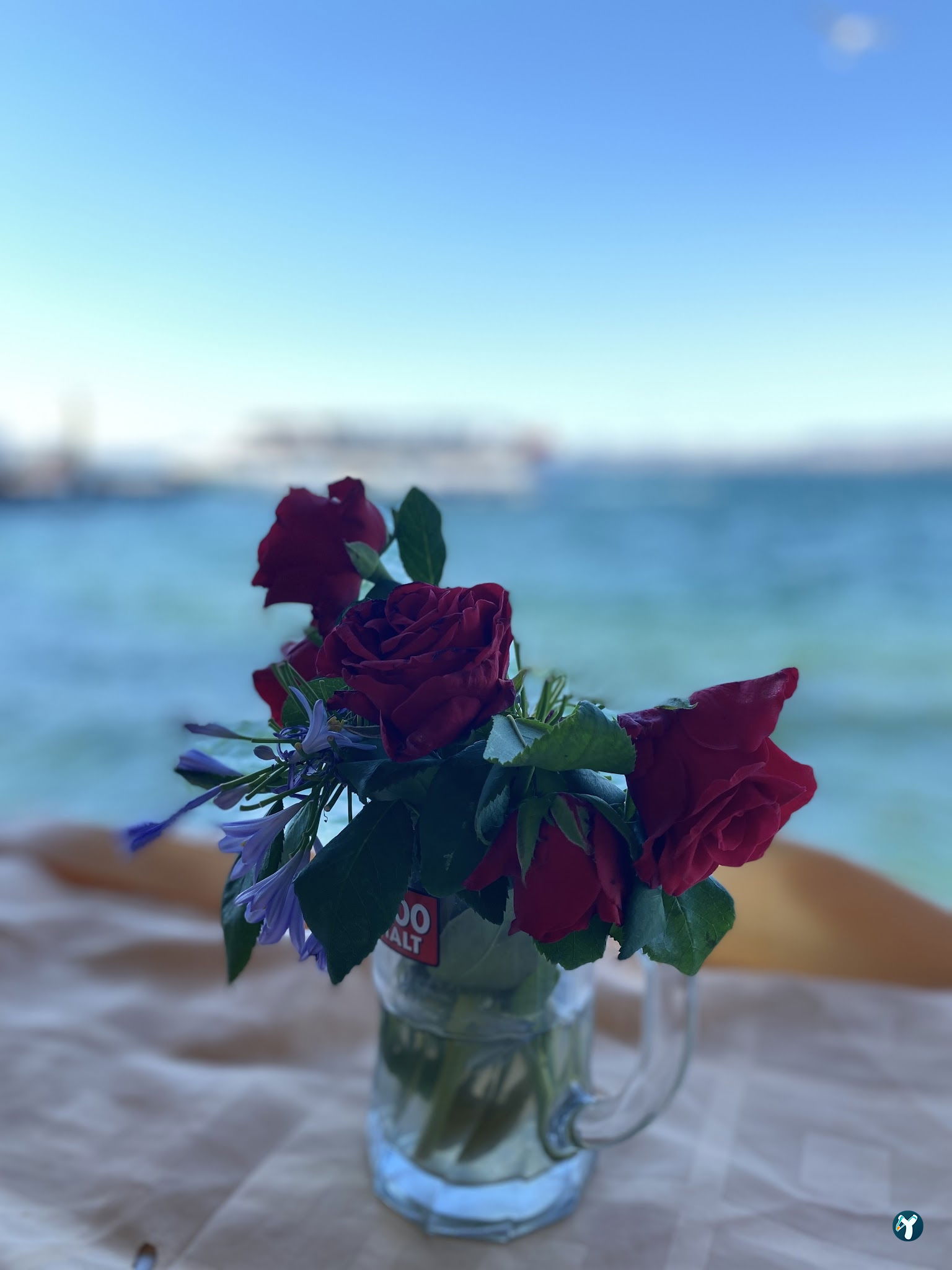 Botanik Cafe & Restaurant