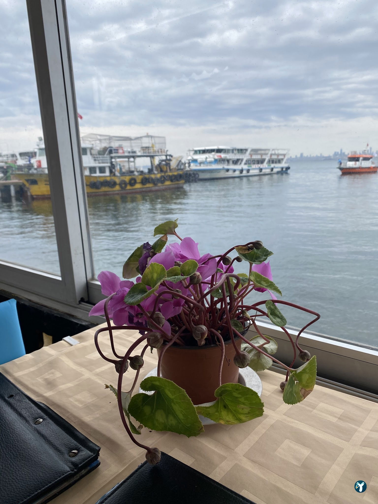 Botanik Cafe & Restaurant