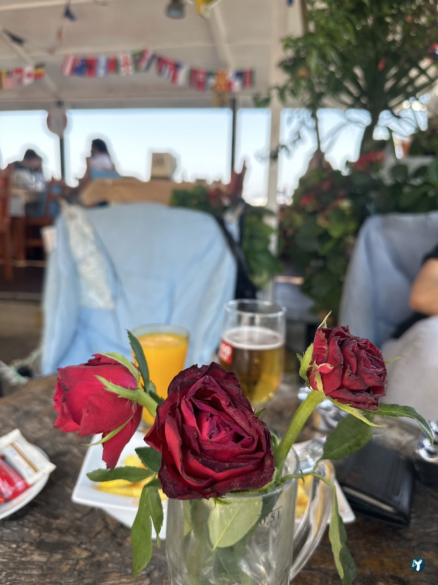 Botanik Cafe & Restaurant