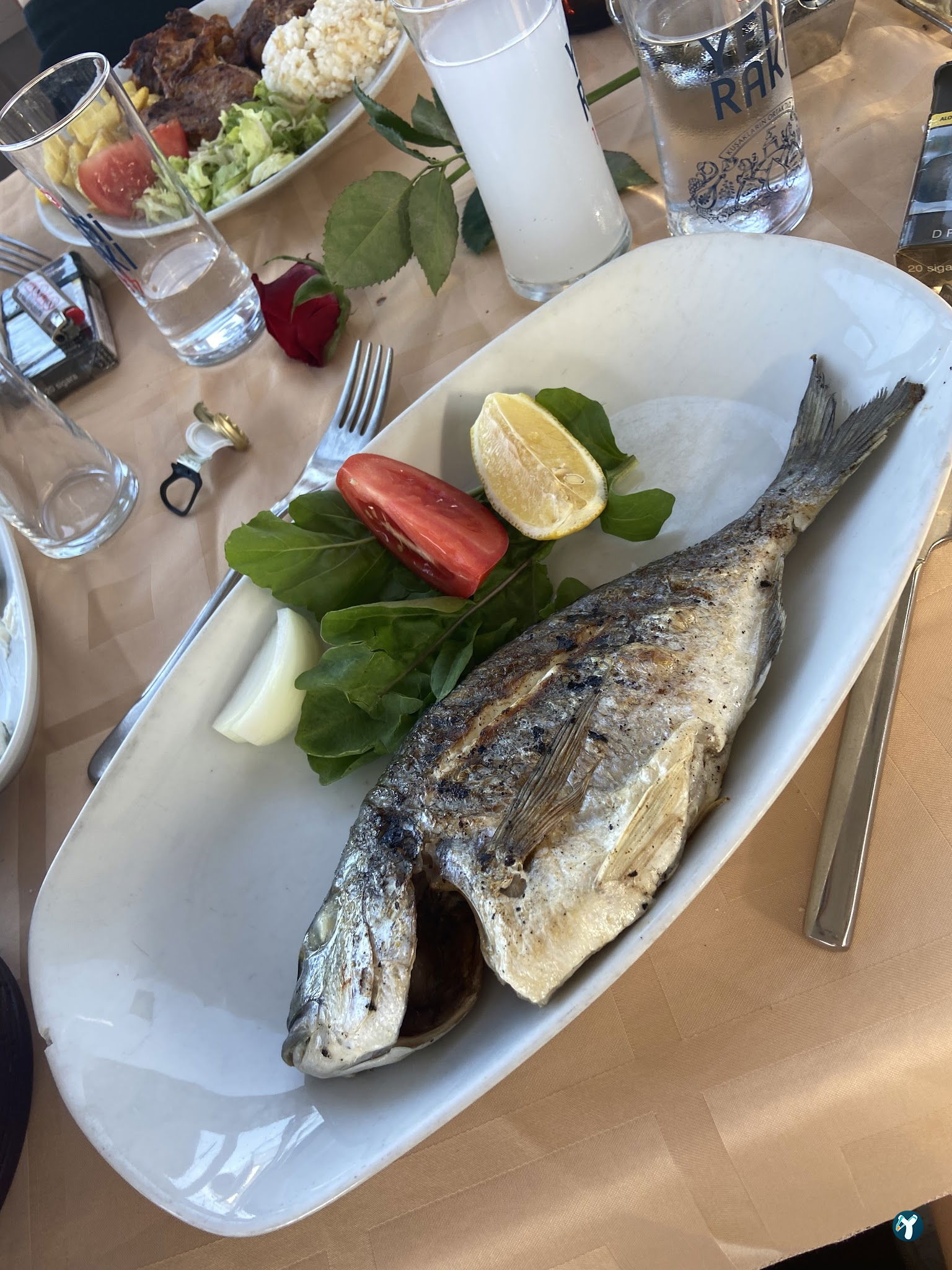 Botanik Cafe & Restaurant