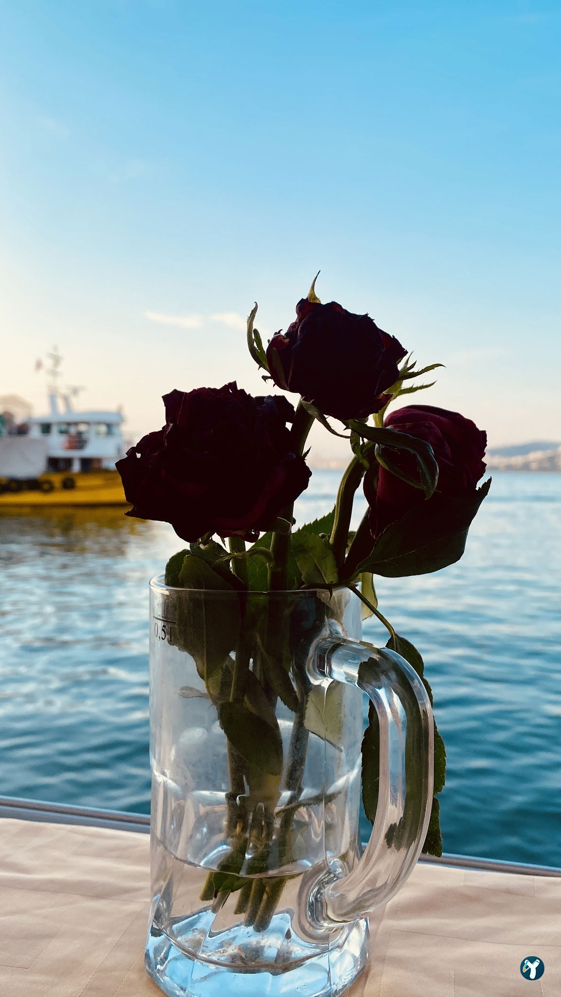 Botanik Cafe & Restaurant