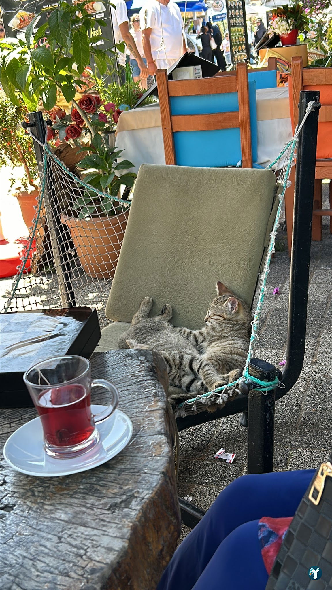 Botanik Cafe & Restaurant