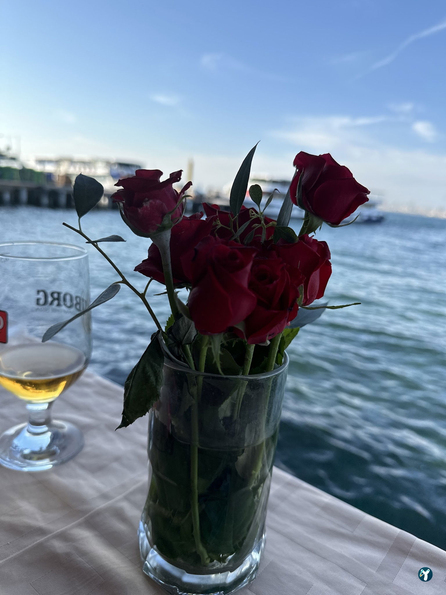 Botanik Cafe & Restaurant