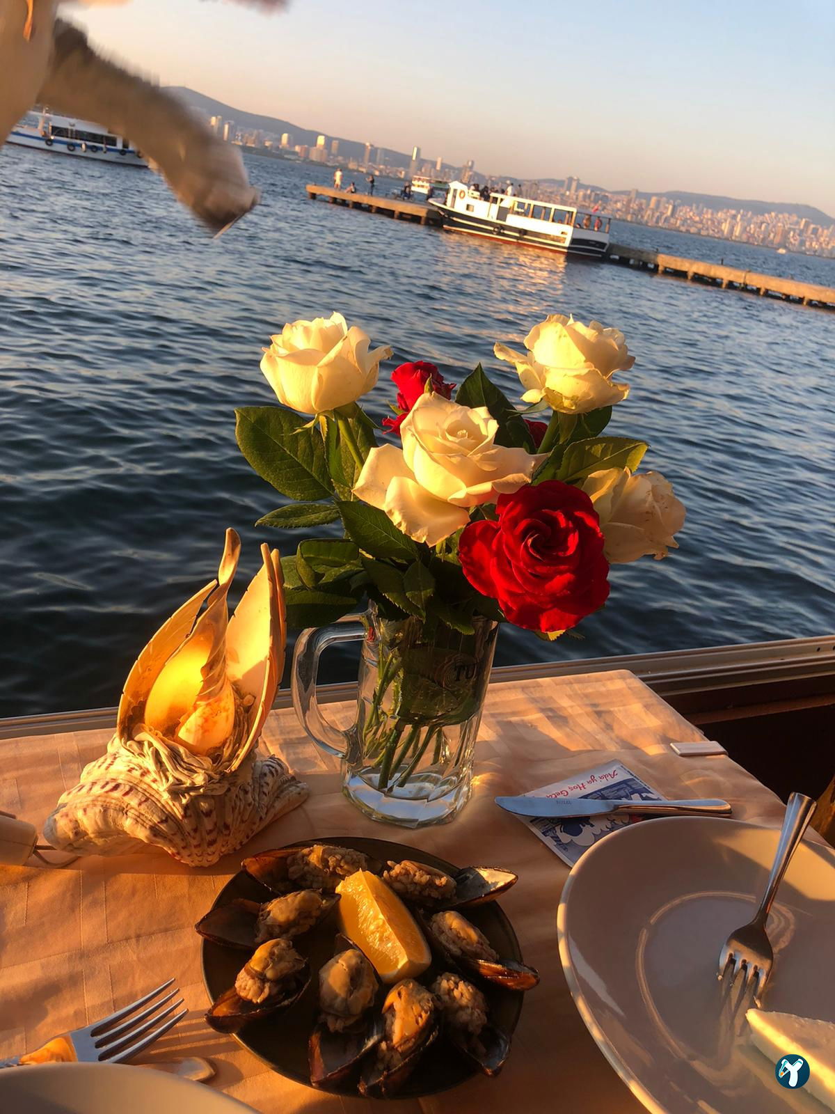 Botanik Cafe & Restaurant