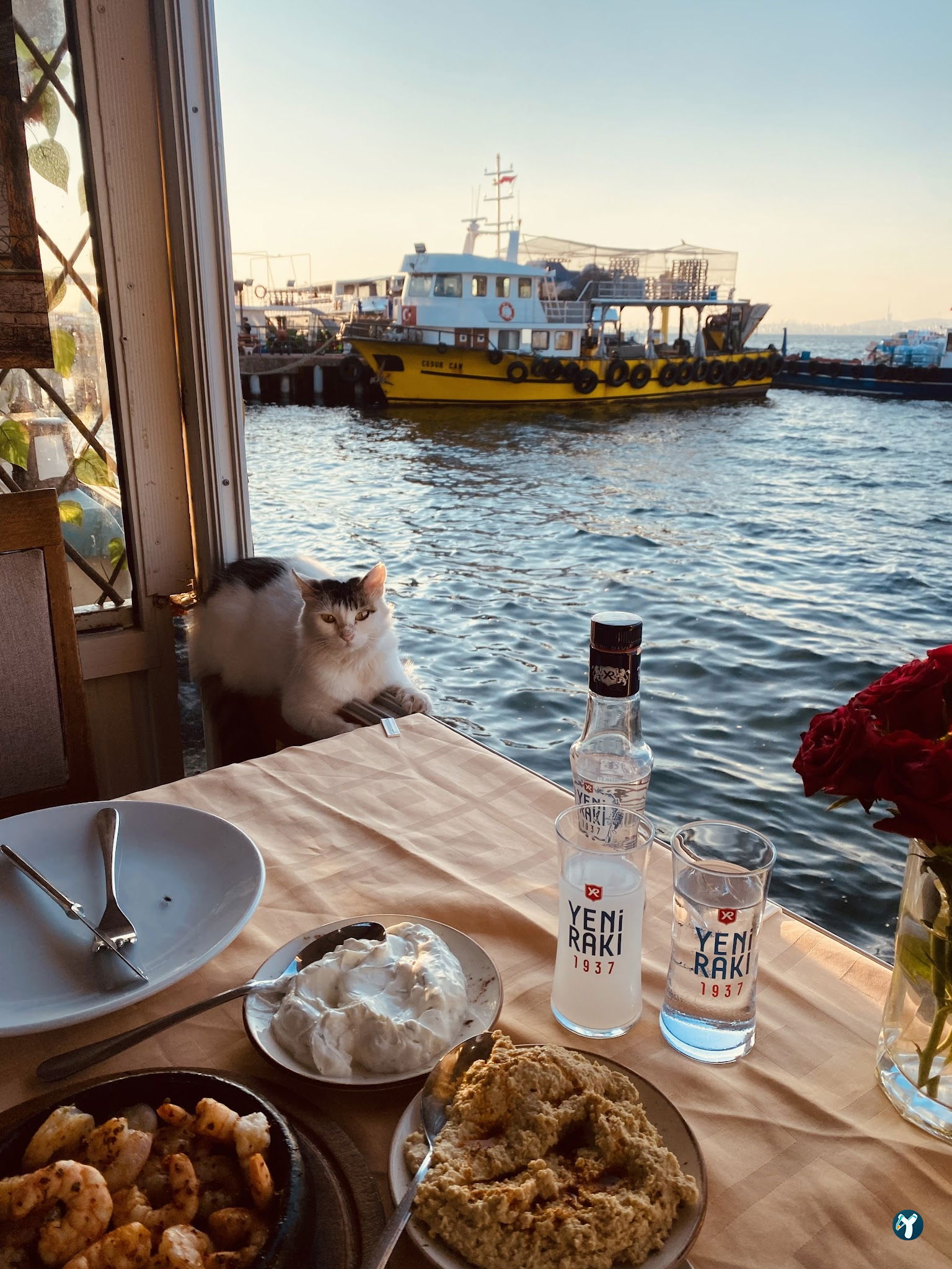 Botanik Cafe & Restaurant