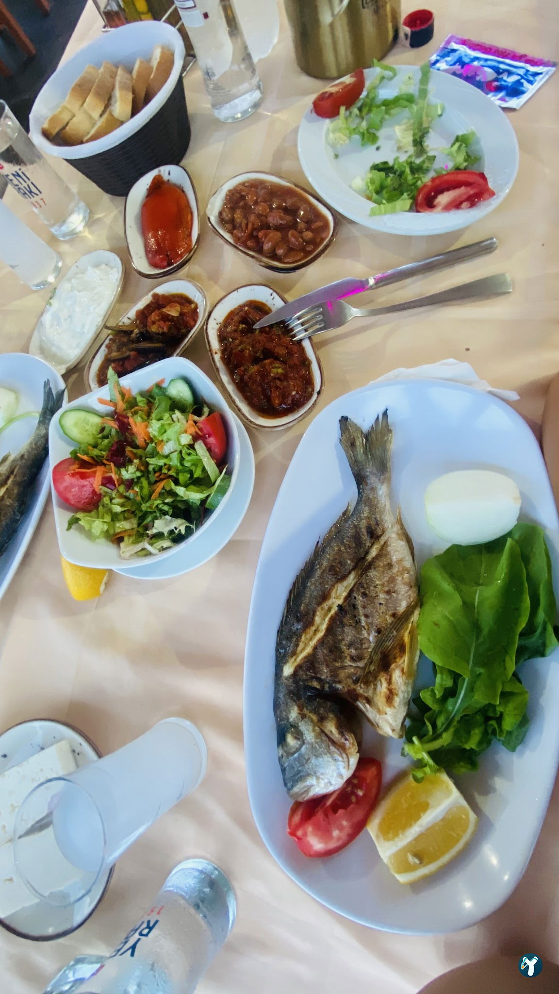 Botanik Cafe & Restaurant