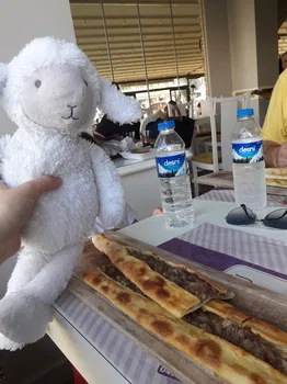 Digi'Nin Yeri resimleri Digi'Nin Yeri resimleri