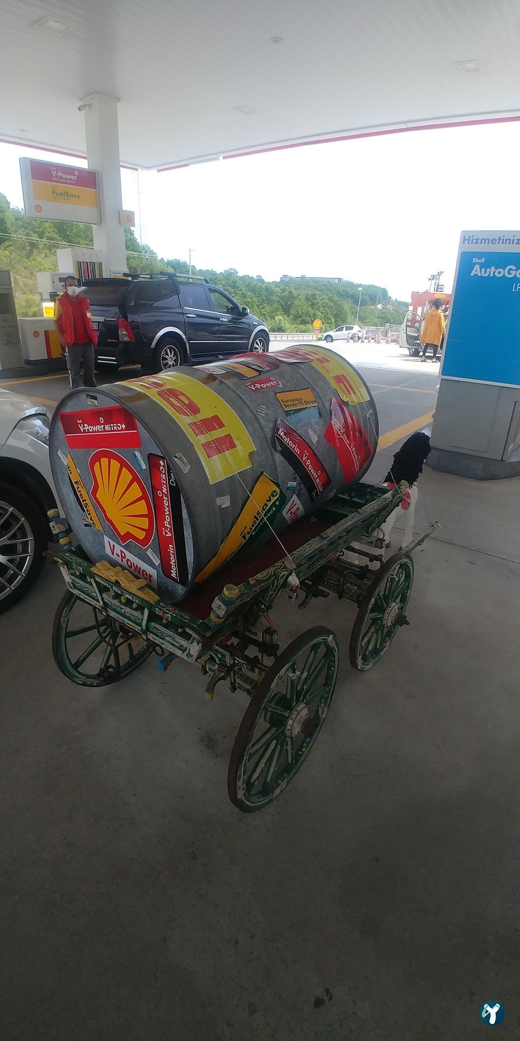 Shell