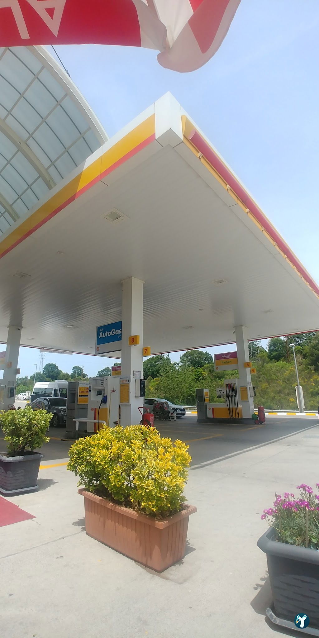 Shell