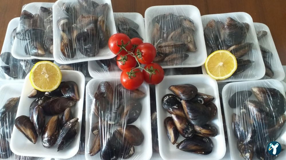 Tarihi Antep Çiğköftecisi