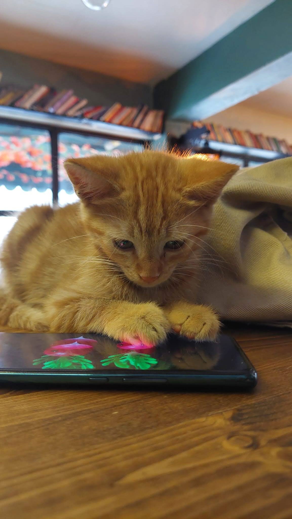 Routine Cake And Coffee