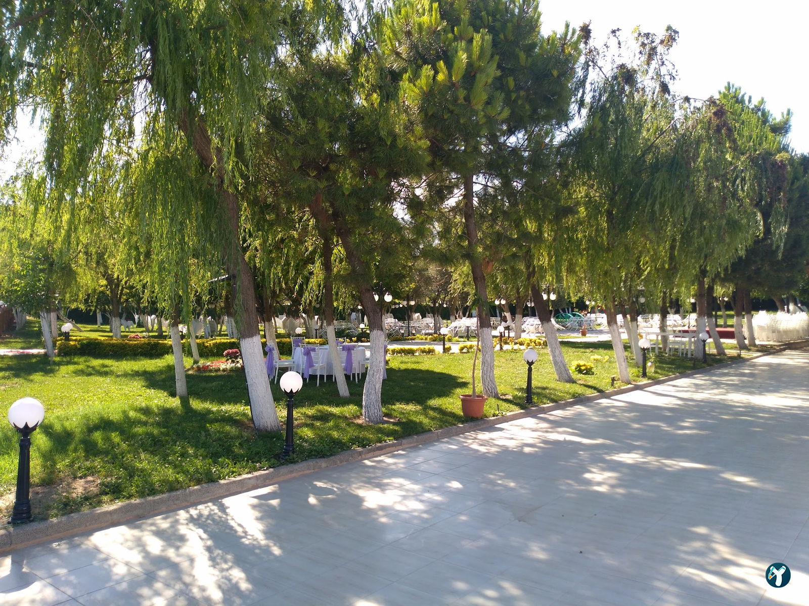 Mega Country Kır Düğünü