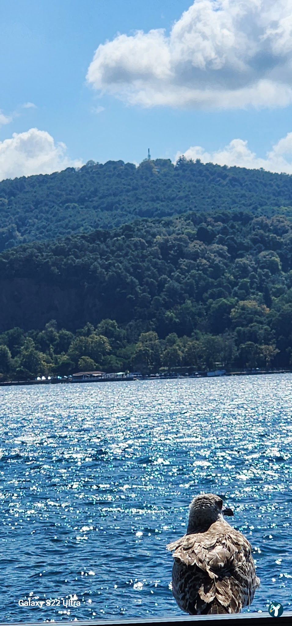 Mado Sariyer
