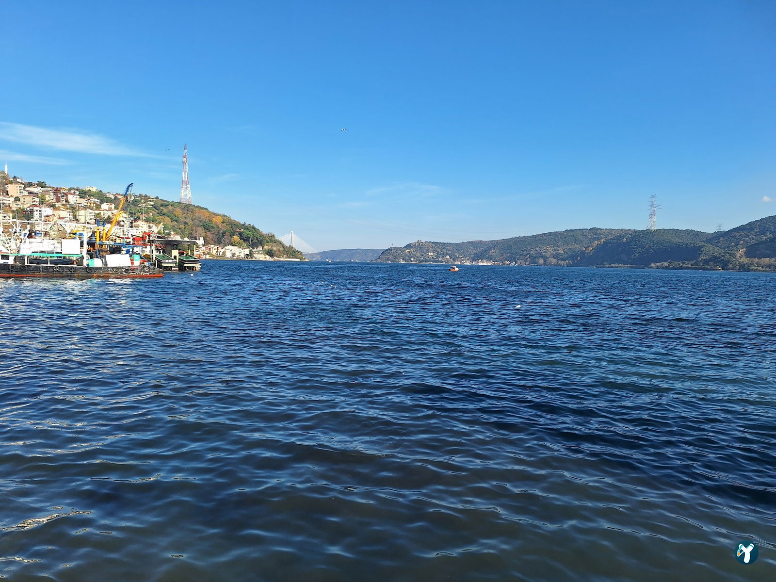 Mado Sariyer