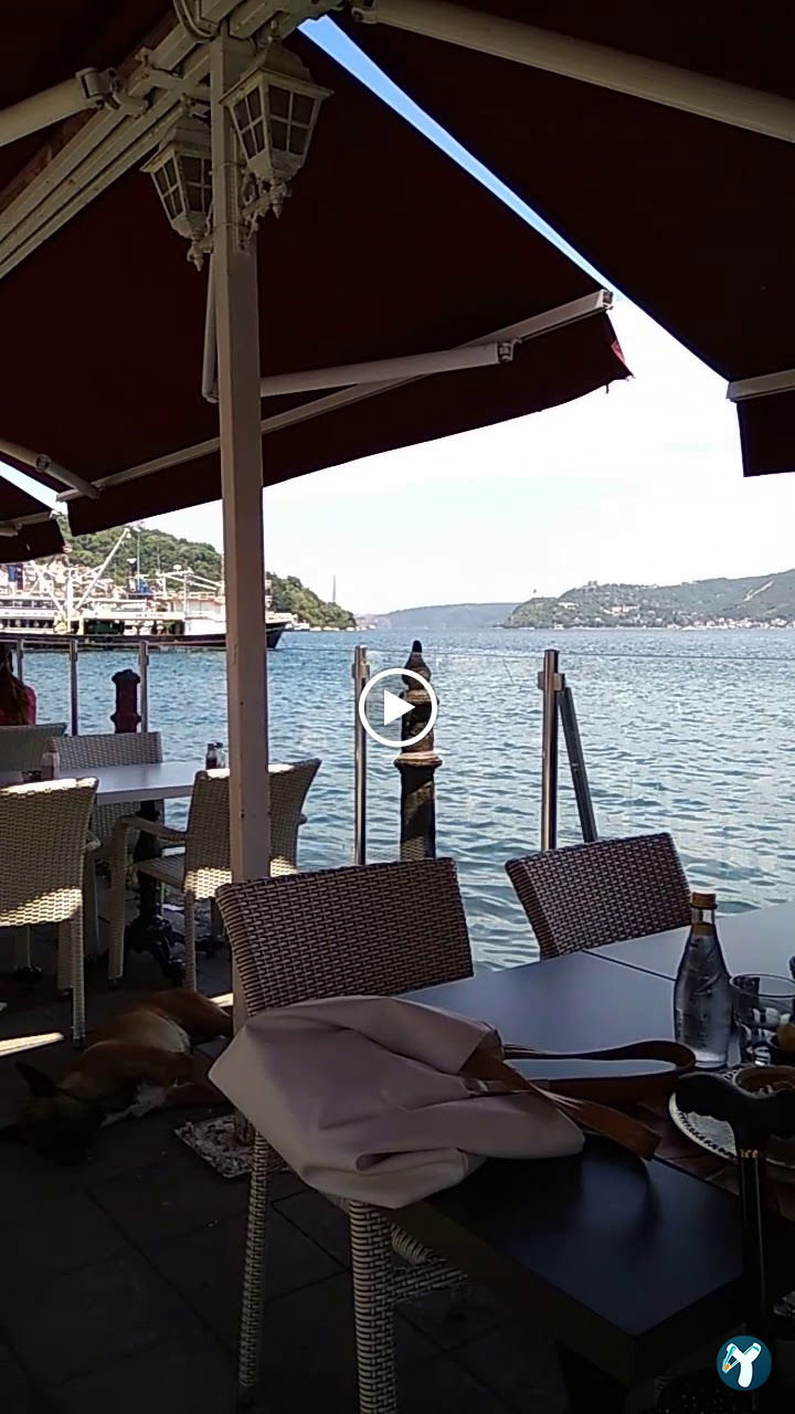 Mado Sariyer