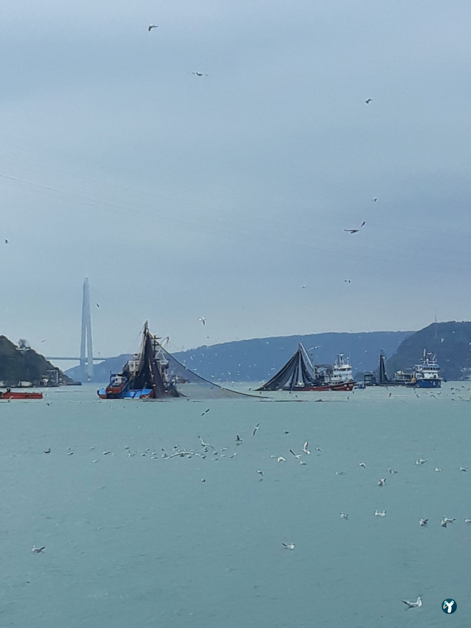 Mado Sariyer