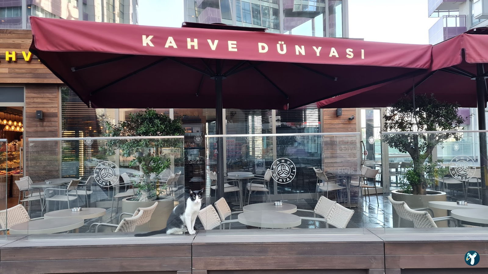 Kahve Dünyası - Maslak 1453