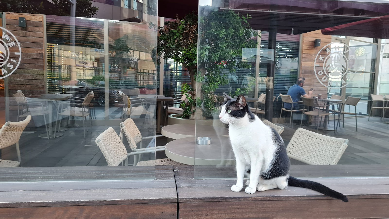 Kahve Dünyası - Maslak 1453