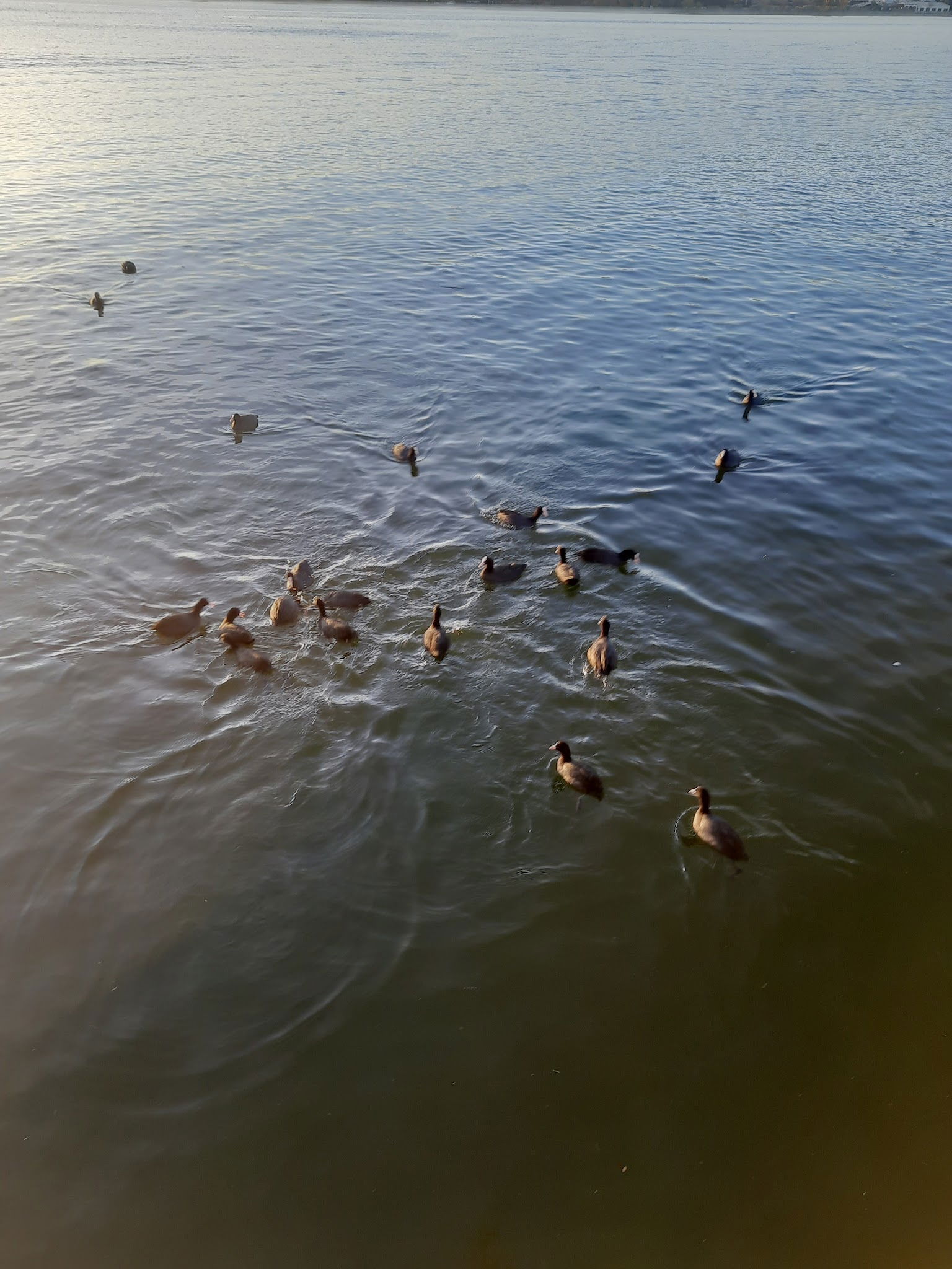 Caffé Di Toeé Mogan Gölü