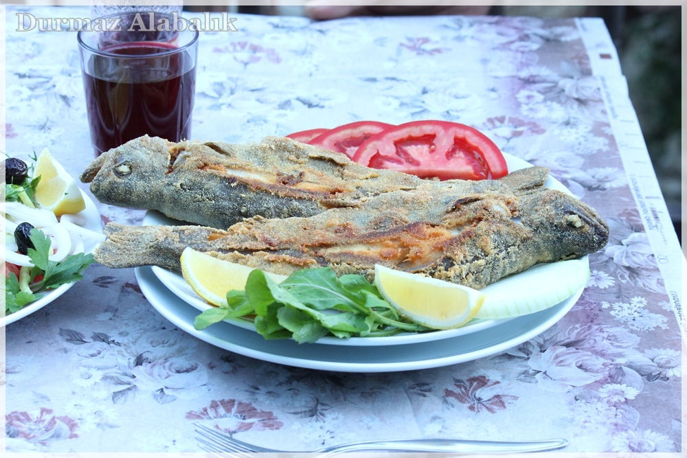 Tırmanlar Alabalık çiftliği Restorant