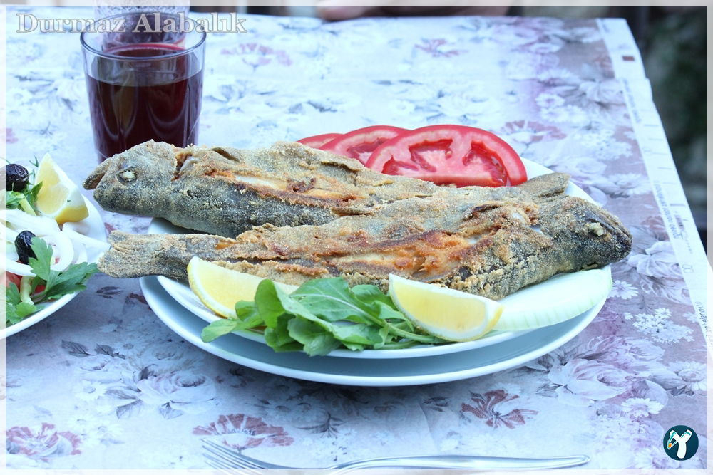 Tırmanlar Alabalık çiftliği Restorant
